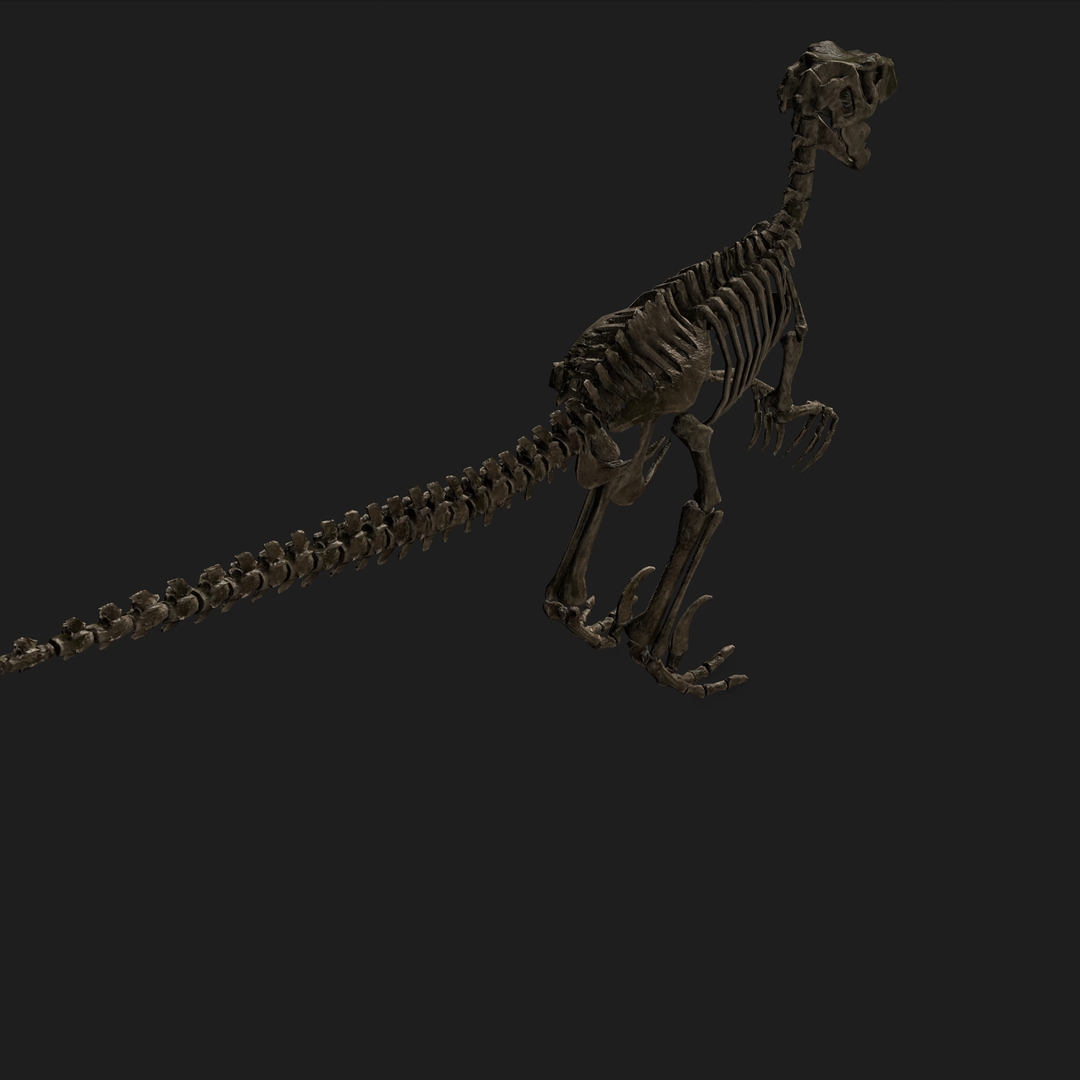 raptor skeleton jurassic park