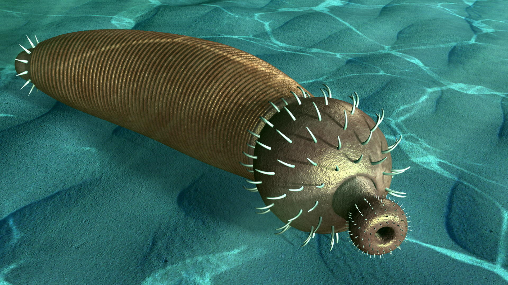 Ottoia prolifica 3D model TurboSquid 1562591