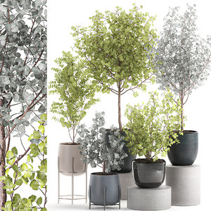 3D decorative trees interior pots model
