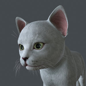 Cat Blender Models for Download | TurboSquid