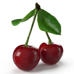 cherry fruit food 3D model