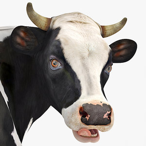 cow mooing farm animal 3D model