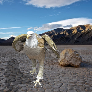 3D model white american bald eagle