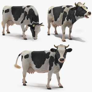 3D cow farm animal