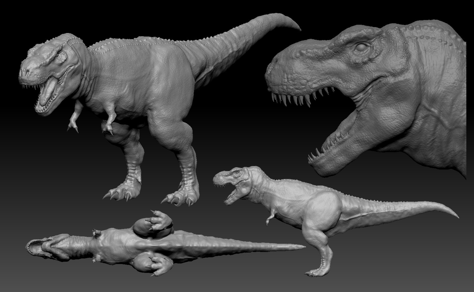 rex 3d