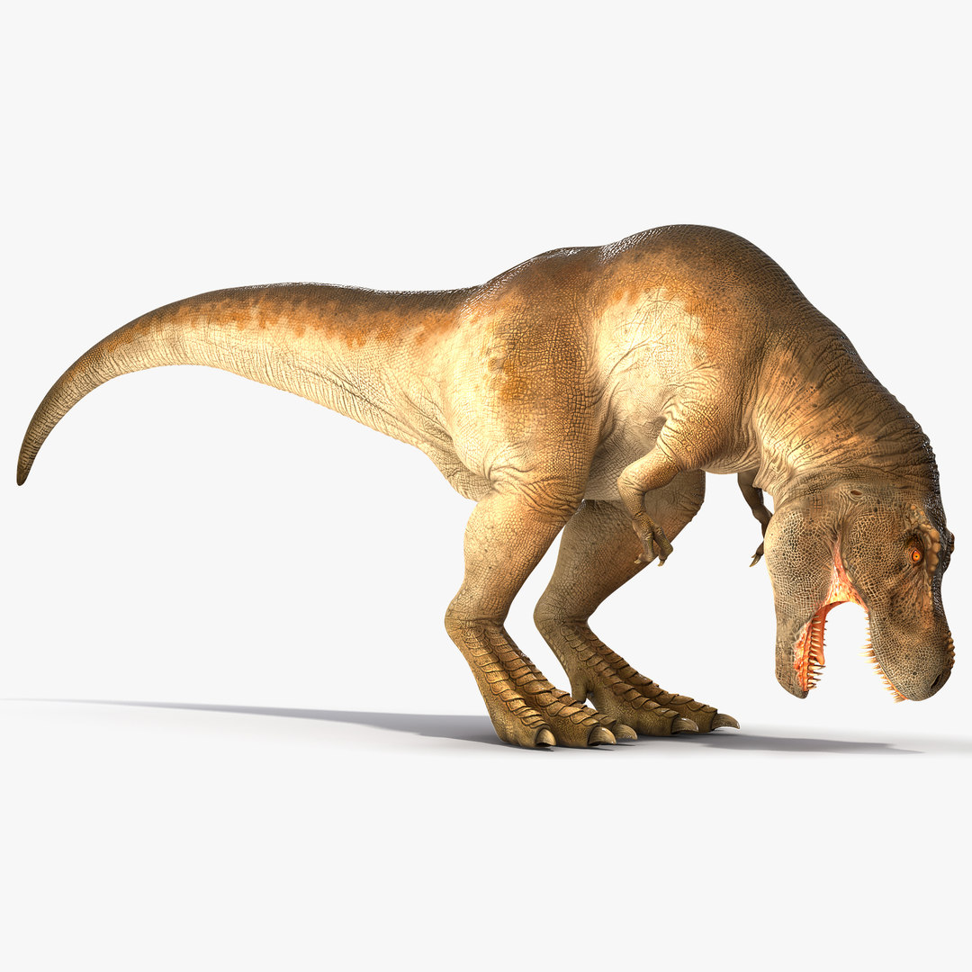 3d-tyrannosaurus-rex-eating-animal-turbosquid-1566251