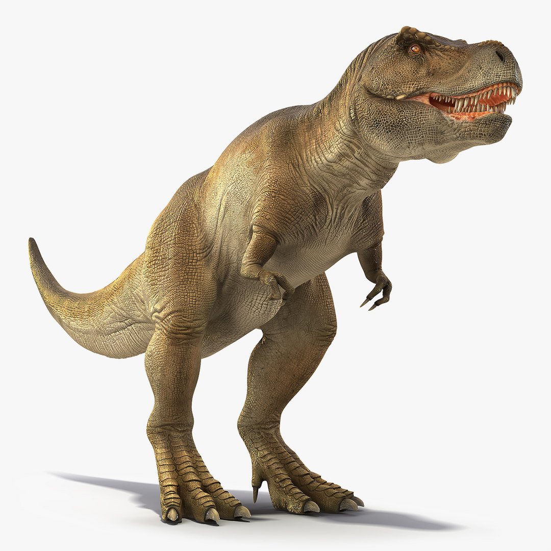 tyrannosaurus 3d google