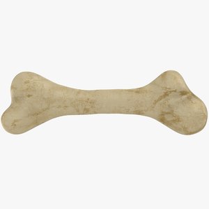 realistic dog bone 3D