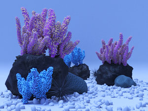 3D coral reefs model