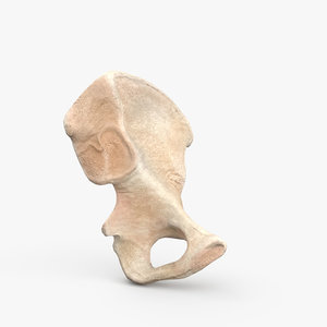 3D hip bone