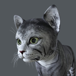 Cat Blender Models for Download | TurboSquid