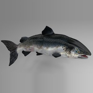3D salmon rigged l739 animate
