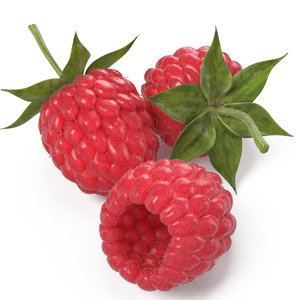 raspberry real 3D model