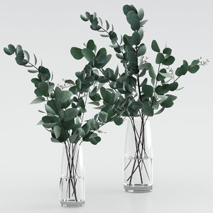 eucalyptus bouquet 3D model
