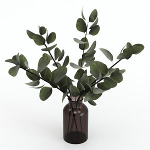 3D eucalyptus bouquet model