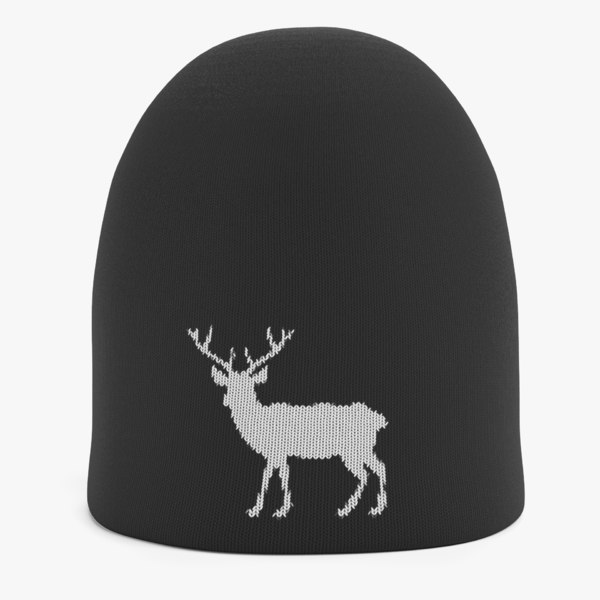 winter hat model