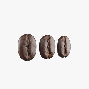 coffee beans 3D model