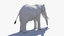elephant 3D model