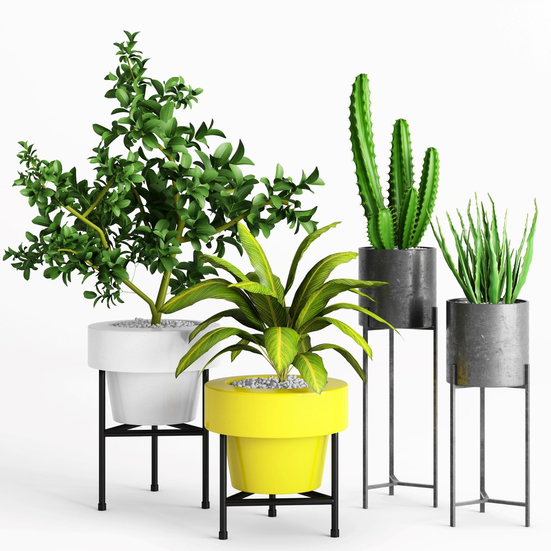 3D planter plants model - TurboSquid 1571124