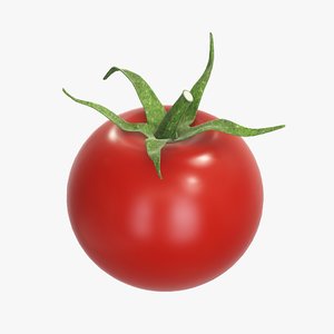 3D single red tomato