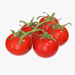 branch red tomato 3D model