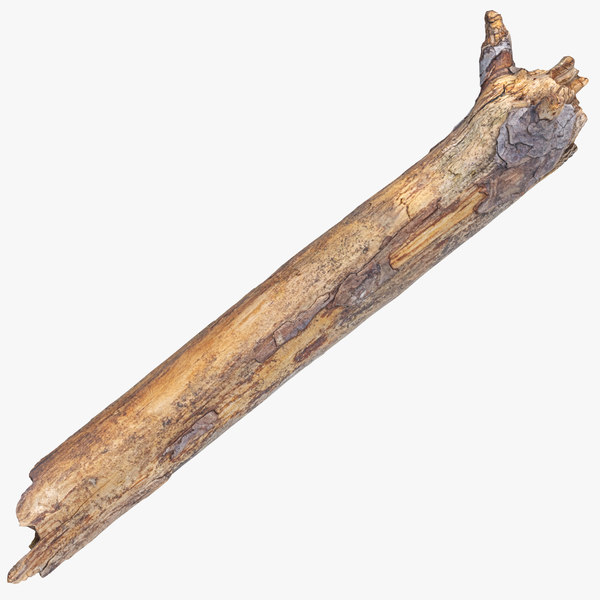 Stick Rupt 3D broken wooden stick 01 - TurboSquid 1571515