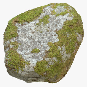 3D model forest rock 03