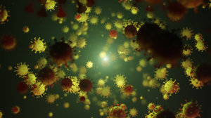 3D flythrough coronavirus covid-19 particles