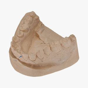 3D human lower jaw teeth
