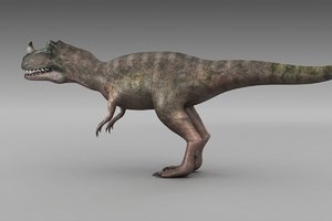 ceratosaurus dinosaurs tyrannosaurs carnivores 3D model