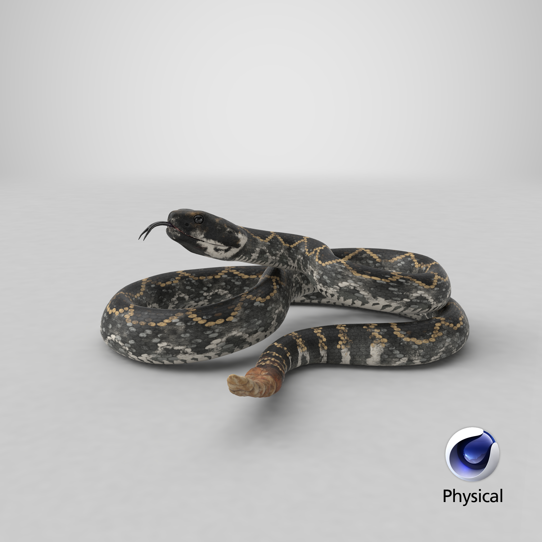 黑暗响尾蛇3d模型