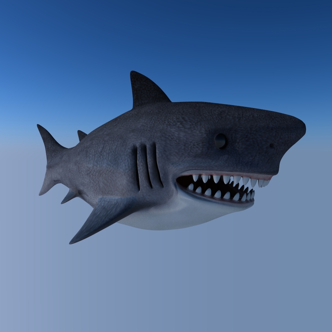 Shark fish 3D model - TurboSquid 1572455