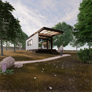 wood house 1 revit 3D model