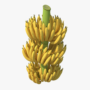 ripe yellow banana cluster 3D model