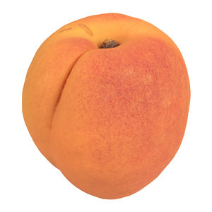 3D photorealistic scanned apricot