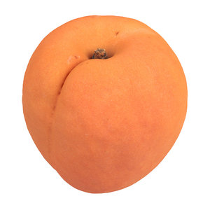 photorealistic scanned apricot 3D model