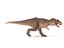 3D model tyrannosaurus rex rigged