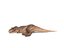 3D model tyrannosaurus rex rigged