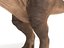 3D model tyrannosaurus rex rigged