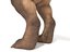 3D model tyrannosaurus rex rigged