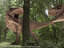 3D model tyrannosaurus rex rigged
