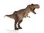 3D model tyrannosaurus rex rigged