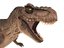 3D model tyrannosaurus rex rigged