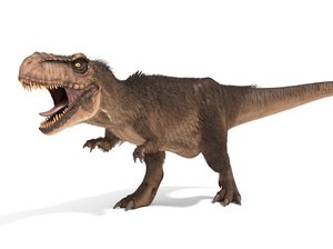 tyrannosaurus rex fur rigged model