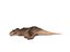 tyrannosaurus rex fur rigged model