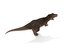tyrannosaurus rex fur rigged model