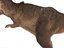 tyrannosaurus rex fur rigged model