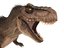 tyrannosaurus rex fur rigged model