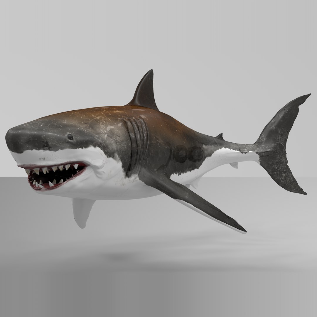 3D great white shark rigged model - TurboSquid 1574773