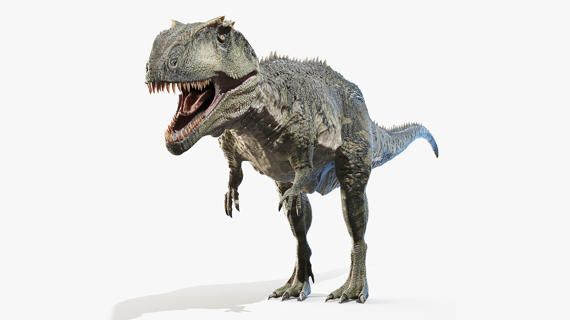 giganotosaurus dino dana